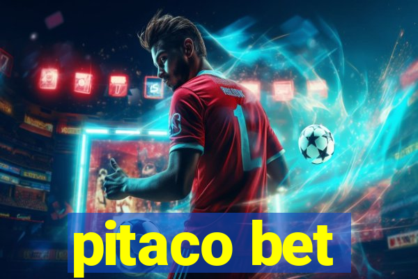 pitaco bet